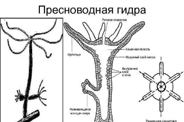 Omg площадка даркнета